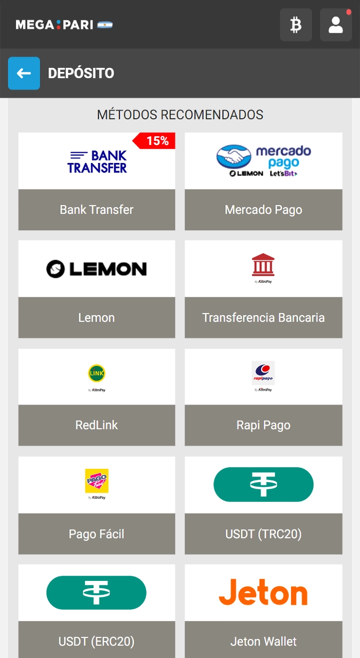 Añade saldo a tu cuenta de Megapari eligiendo cualquiera de las opciones de pago disponibles.
